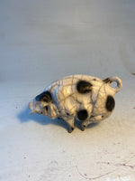Old spot sow