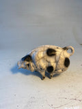 Old spot sow