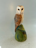 Barn owl on abstract green hill
