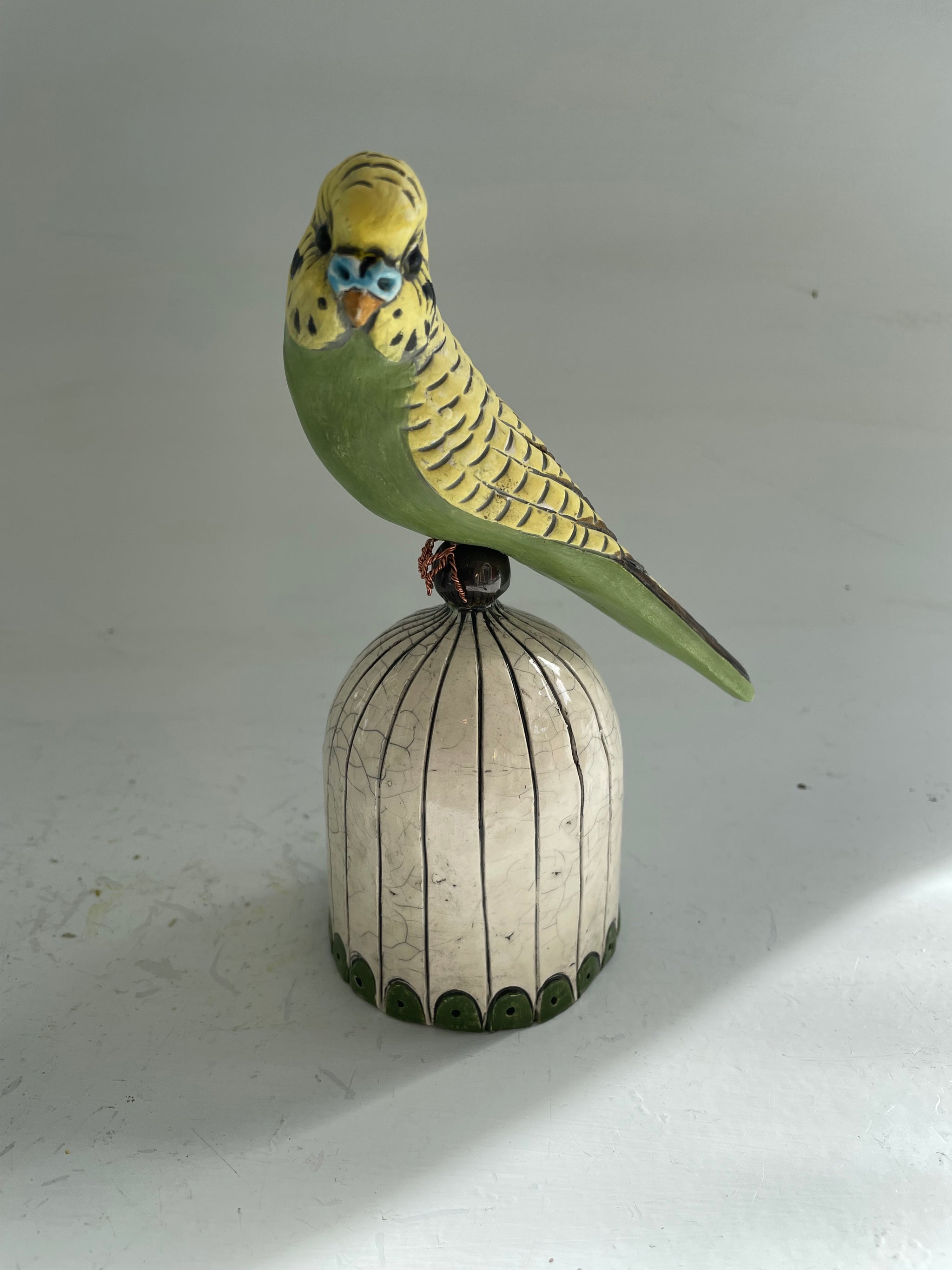 Budgies by Carol Jackson-kitchen. – Christine Cummings