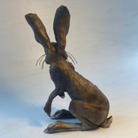 Watchful hare