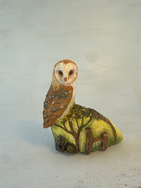 Barn owl on summer hill