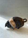 Small saddleback