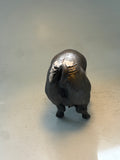 Saddleback sow