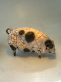 Gloucester old spot sow