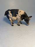 Fresian cow