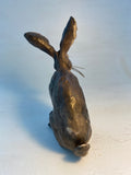 Listening hare