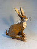 Listening hare