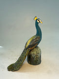 Proud peacock