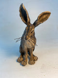 Listening hare