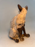 Sitting Siamese cat