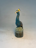 Proud peacock