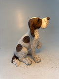 Patient spaniel