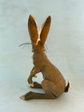 Alert hare( second)