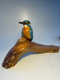 Kingfisher on branch