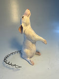 White rat ( second)