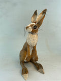 Alert hare( second)