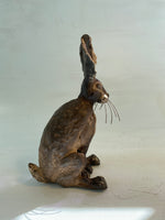 Pondering hare