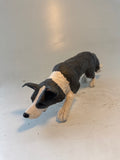 Working collie