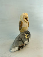 Owl on frosty hill