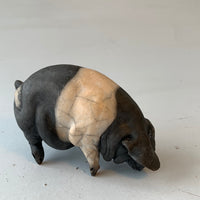Mini rooting pig