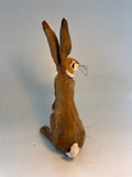 Brown hare