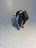 Fresian cow