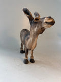 Braying donkey