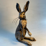 Alert Hare