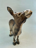 Happy donkey