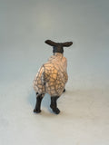 Alert sheep