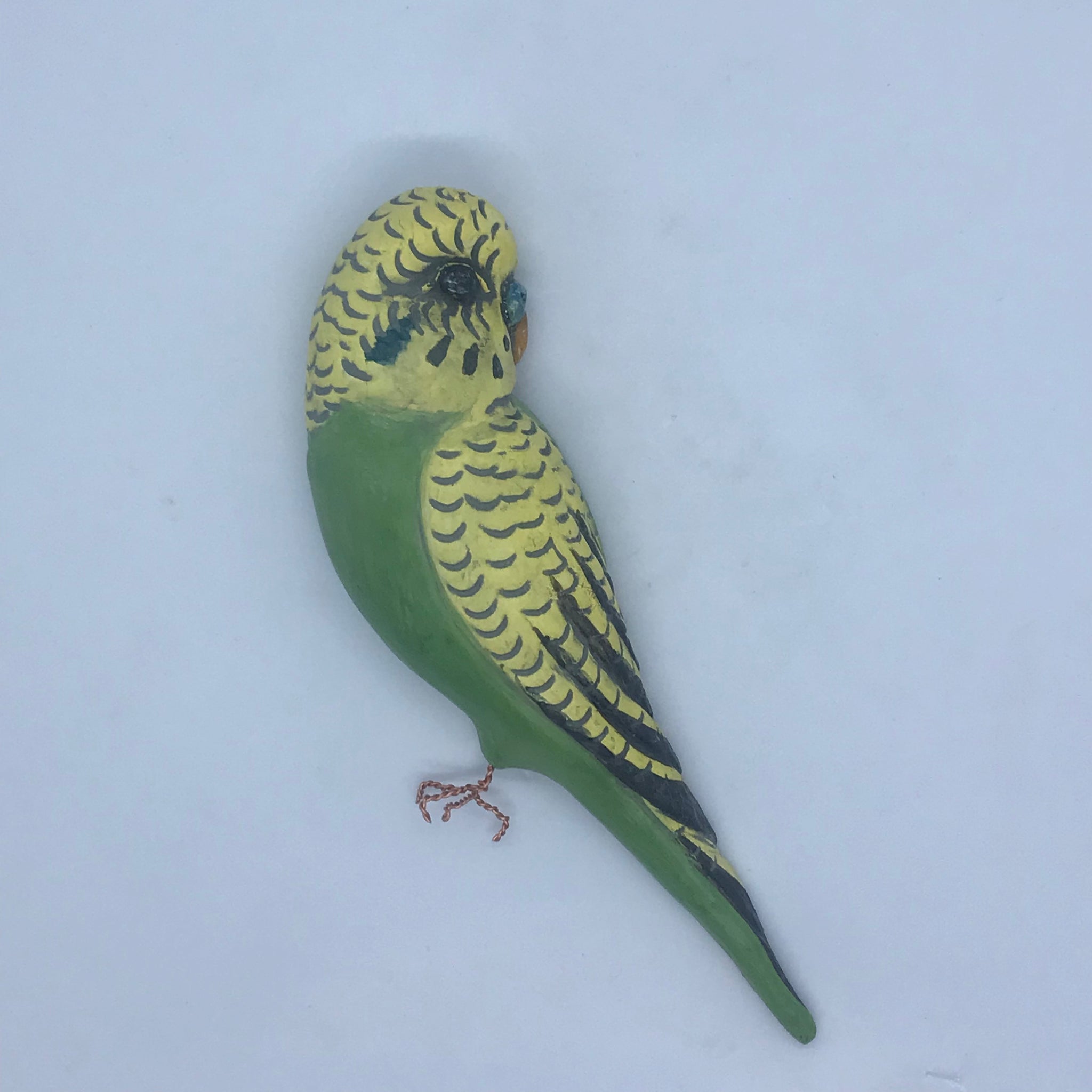 Budgies by Carol Jackson-kitchen. – Christine Cummings