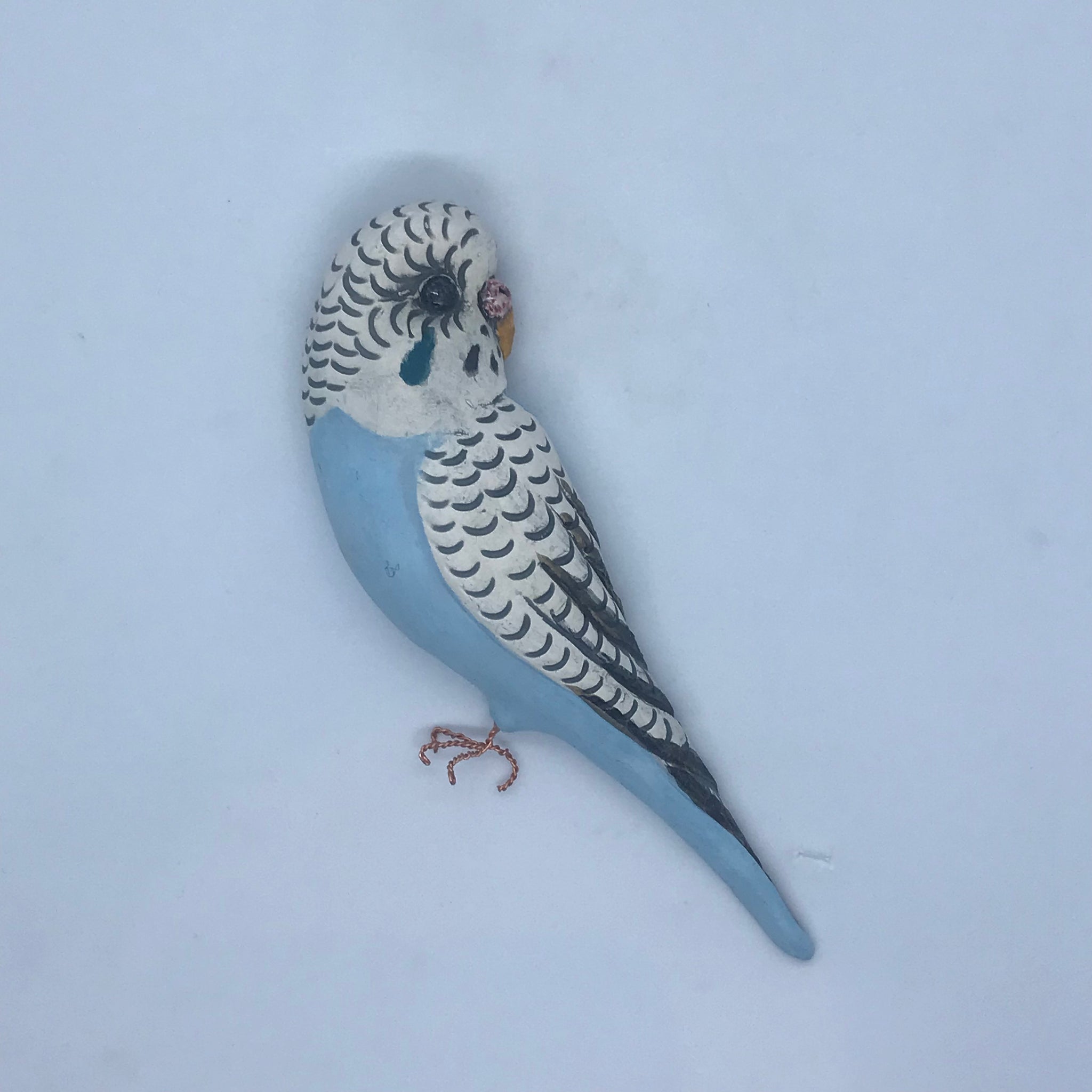 Budgies by Carol Jackson-kitchen. – Christine Cummings