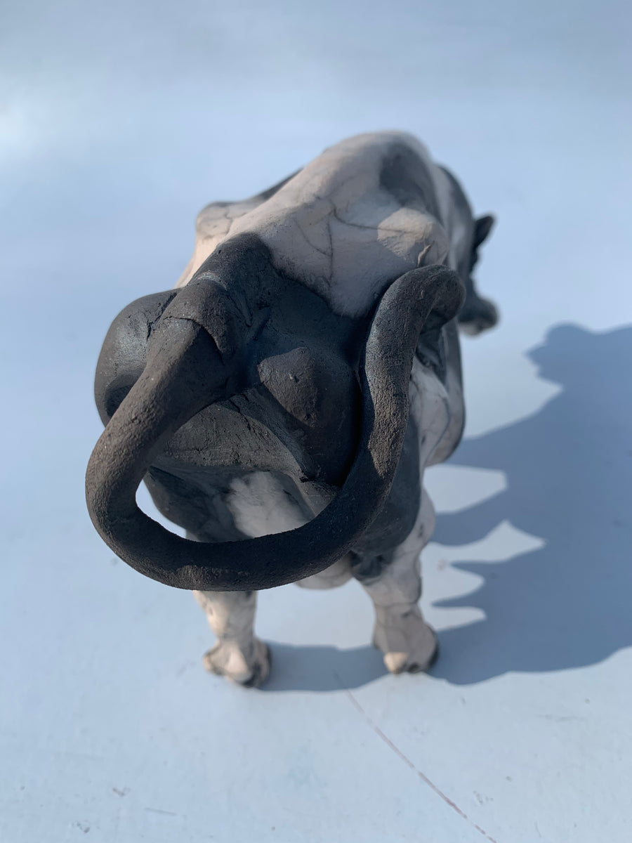 Wandering Cow Christine Cummings