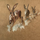Running hare