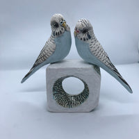 Birds on a box
