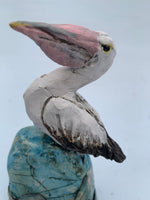 A Peculiar Bird is a Pelican