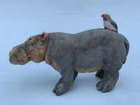 Hippo and Ox pecker