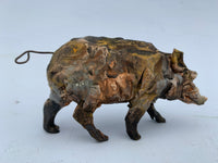 Boar on a mission