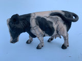 Tail swishing mini cow