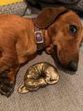 Bronze Curled Sausage