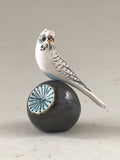 Small Budgie on ball
