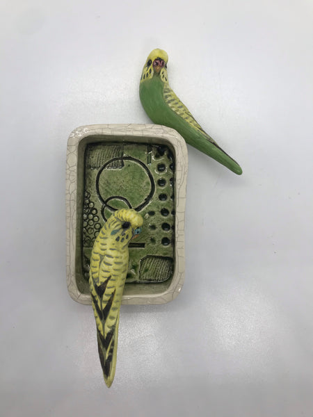 Perched Budgies on a box