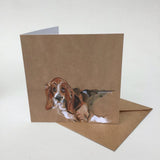 Droopy Basset