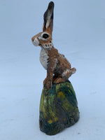 Watchful Hare