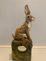Watchful Hare