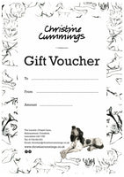 Gift Voucher / multiples of £10