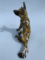 Watchful Painted Dog