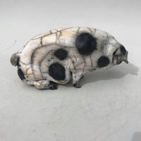 Raku spotted pig